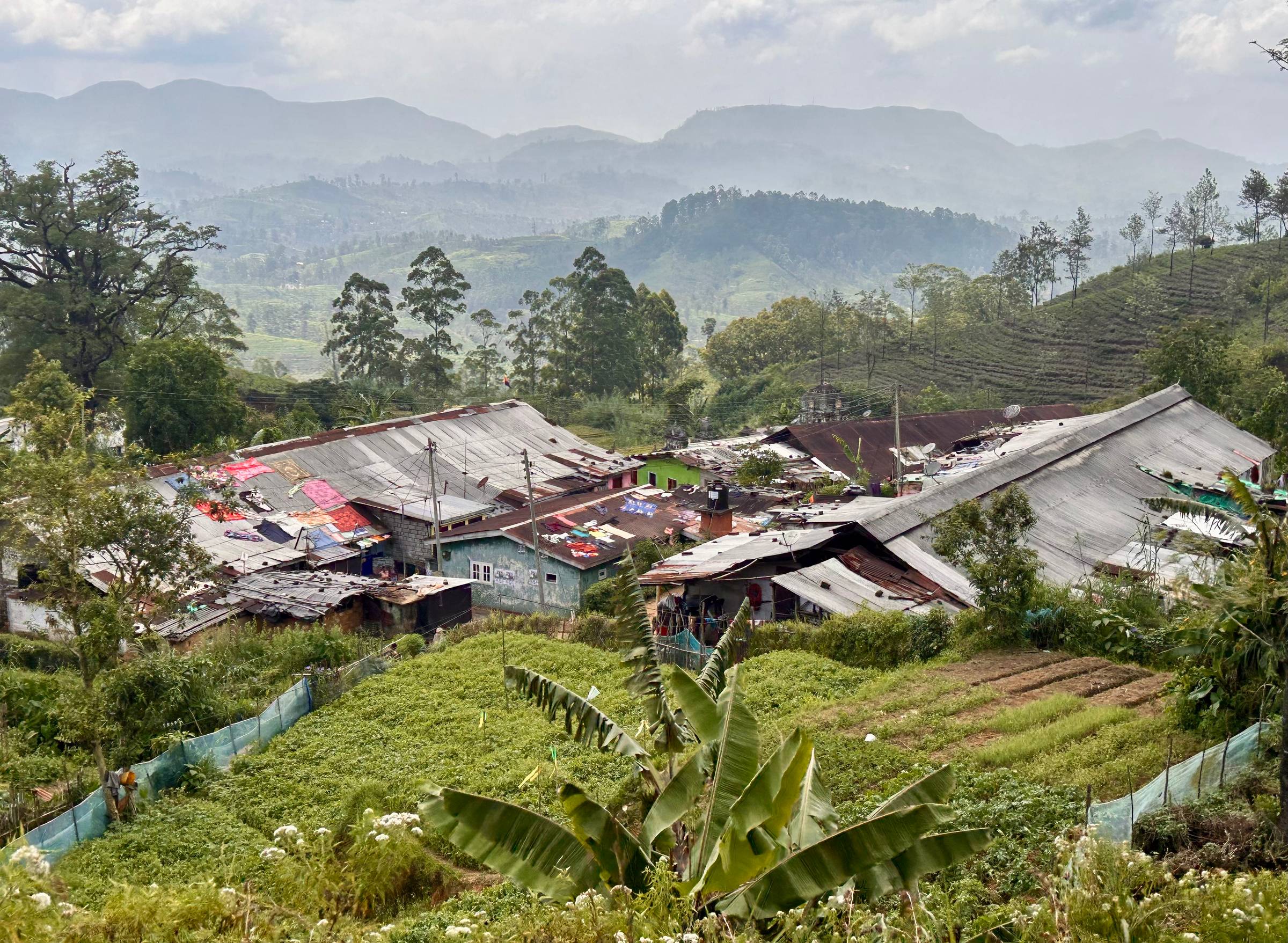 The train journey past lush greenery and houses from Ella to Kandy