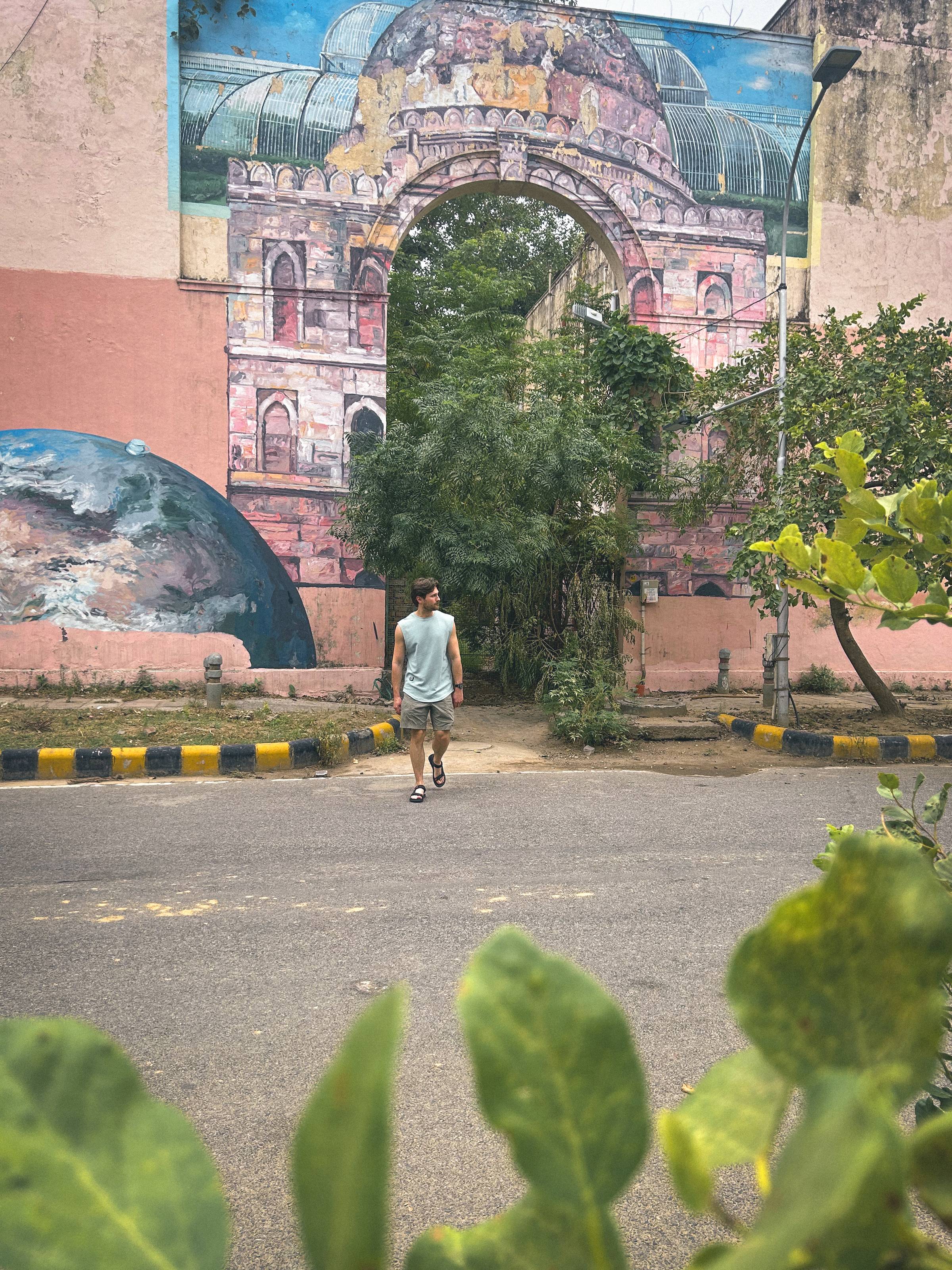 man in front of street murals in Lodhi Colony