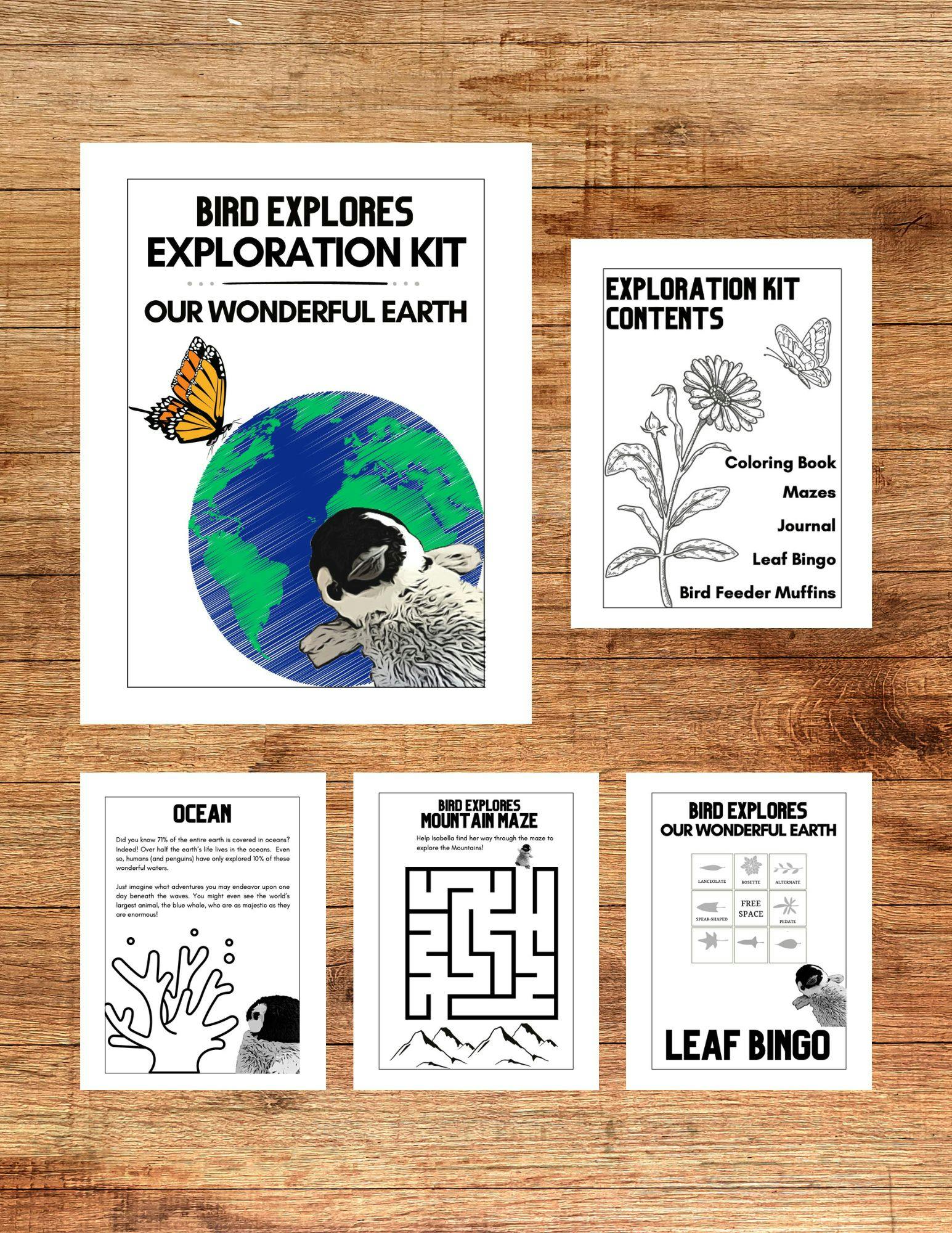 bird-explores-exploration-kit-our-wonderful-earth