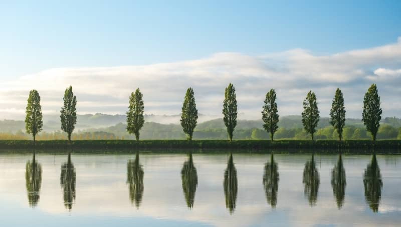 Trees reflecting in calm water beneath a serene sky.