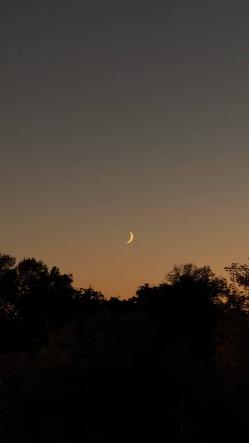 Crescent moon over dark silhouette trees at dusk