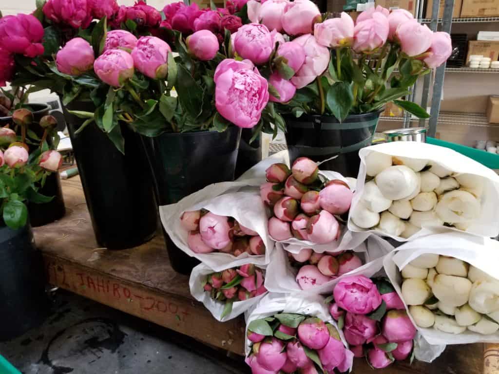 Peonies - Pivoines 