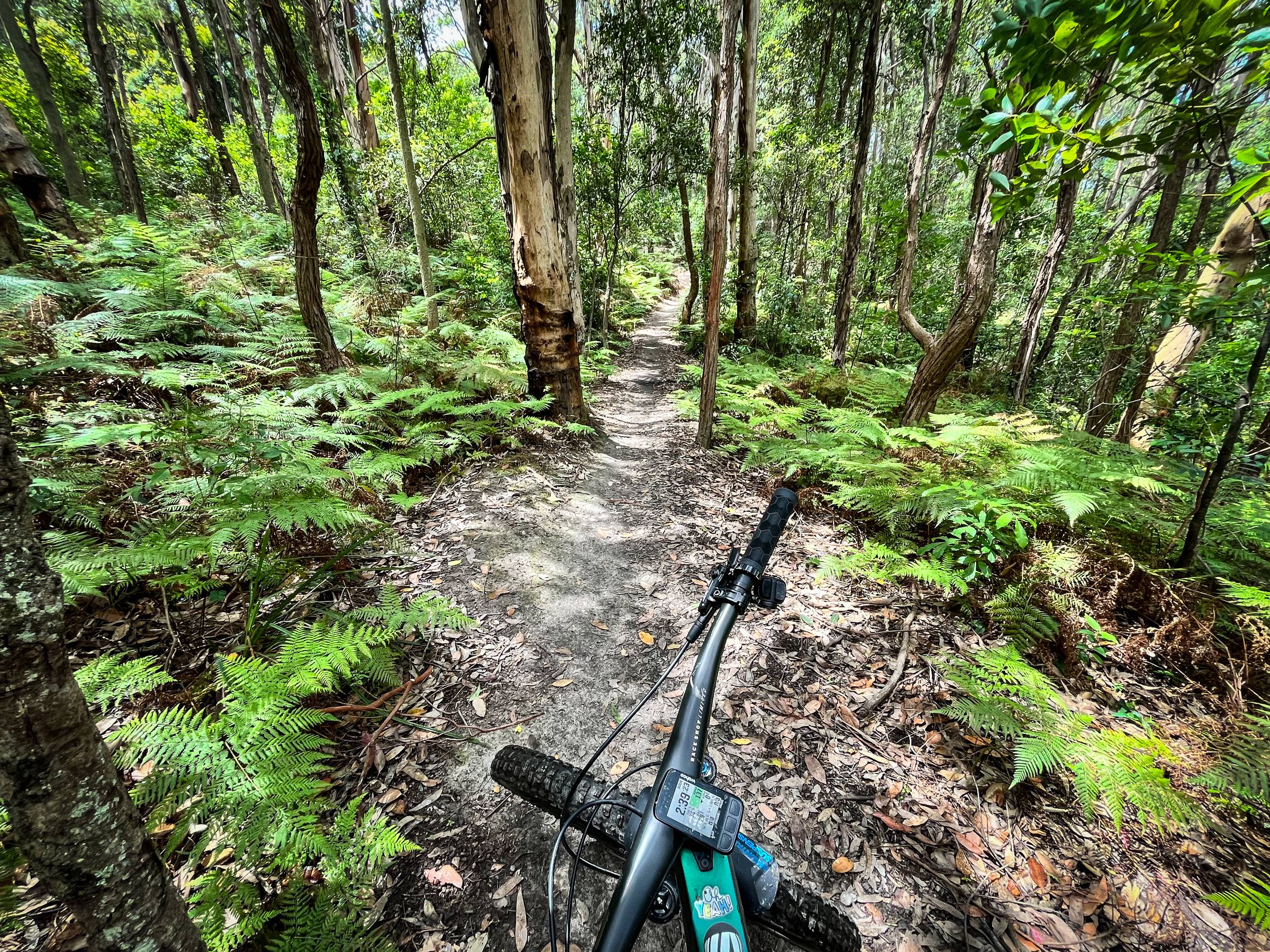 mountain biking on singletrack in Glenrock State Conservation Area
