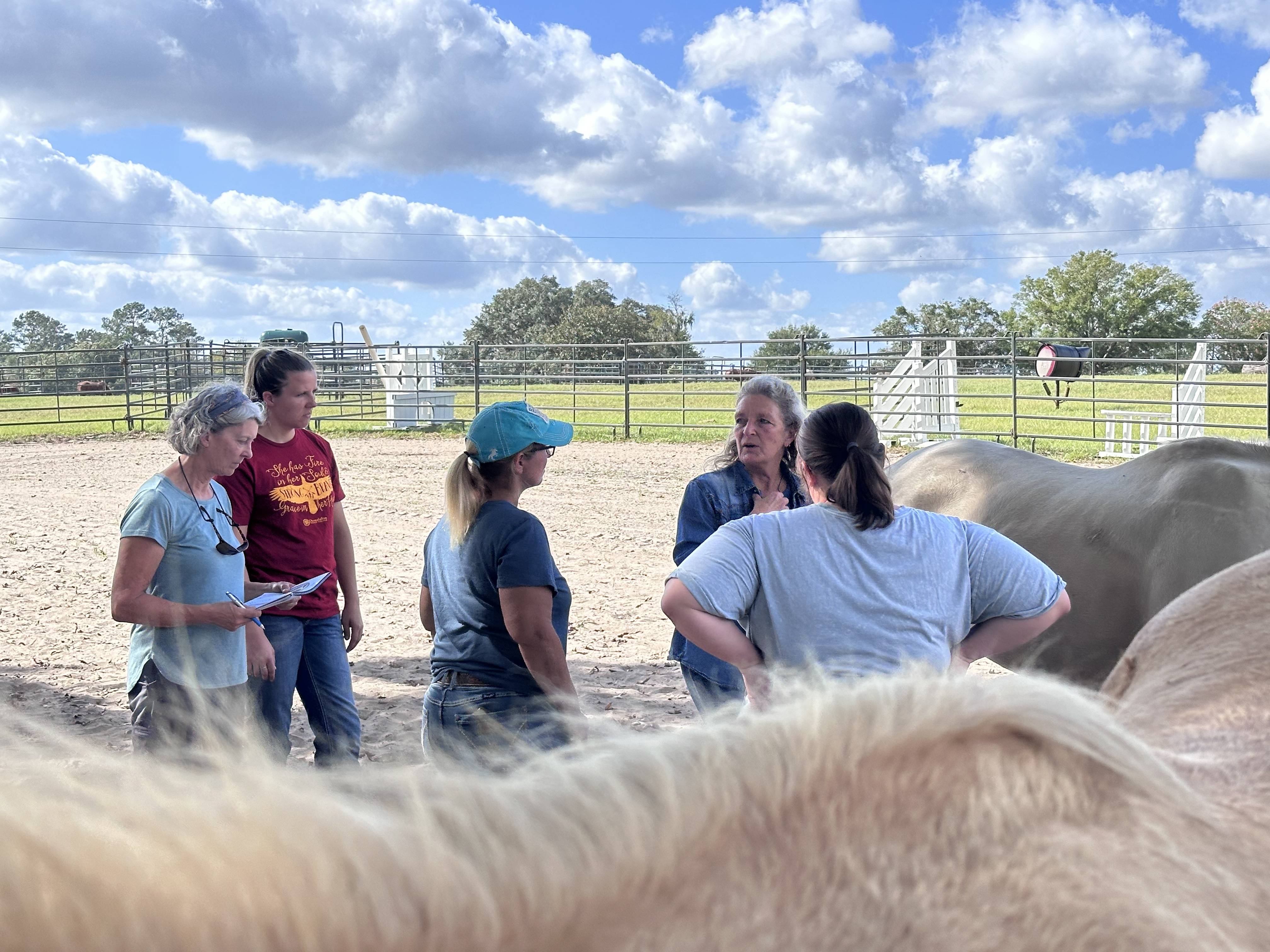 A group of five people standing in a fenced outdoor area, with horses visible in the foreground. The scene is set under a blue sky with scattered clouds. The people appear to be engaged in conversation, casually dressed, with one person holding a piece of paper. The setting suggests an equestrian or farm environment. Trees and more fencing are visible in the background.