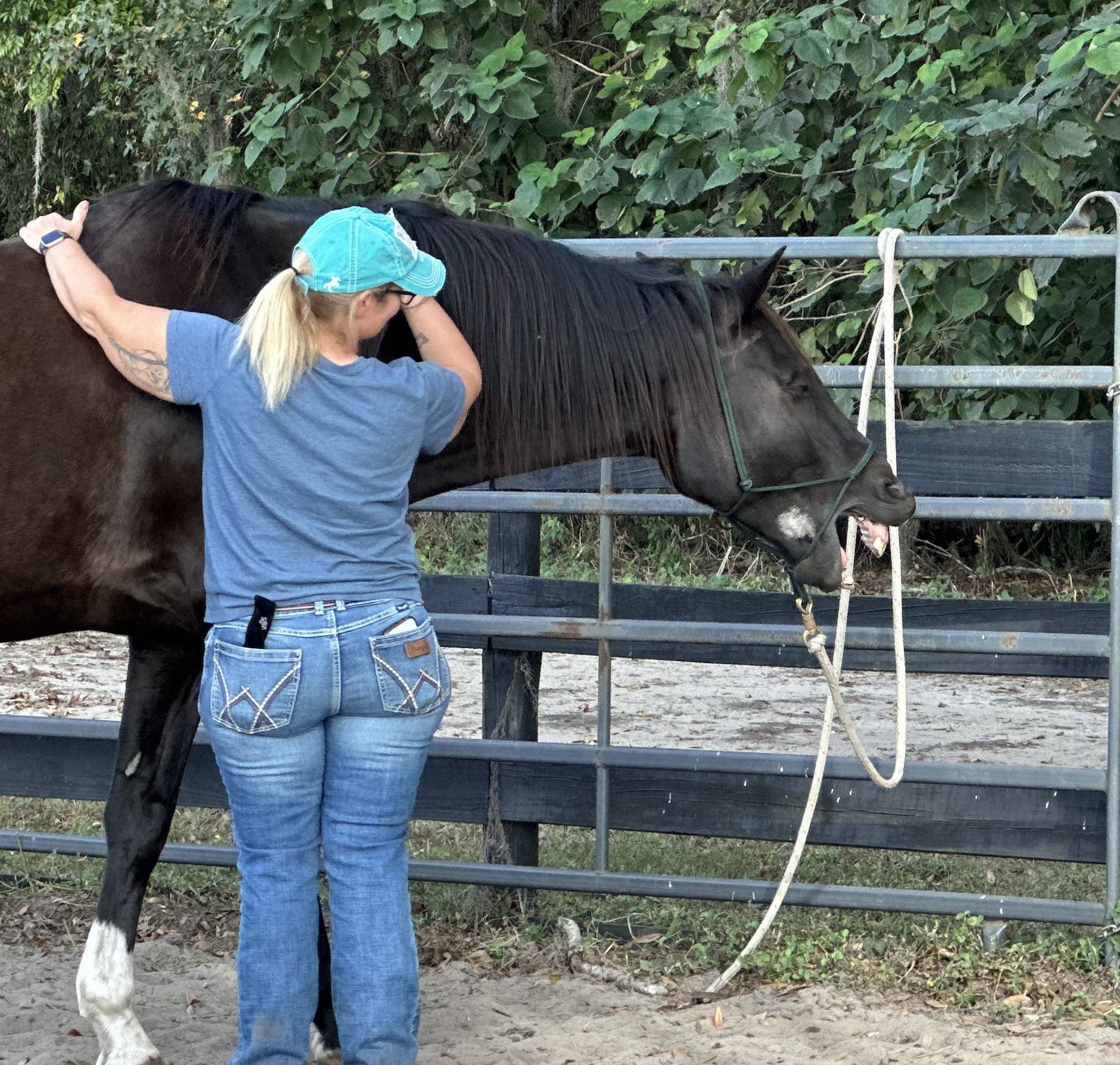 A woman in a teal cap and blue shirt is seen standing beside a dark brown horse at an outdoor equestrian area. She has her arm around the horse's neck, which is secured with a rope halter tied to a fence. The horse has its mouth open, possibly yawning. Green foliage is visible in the background.