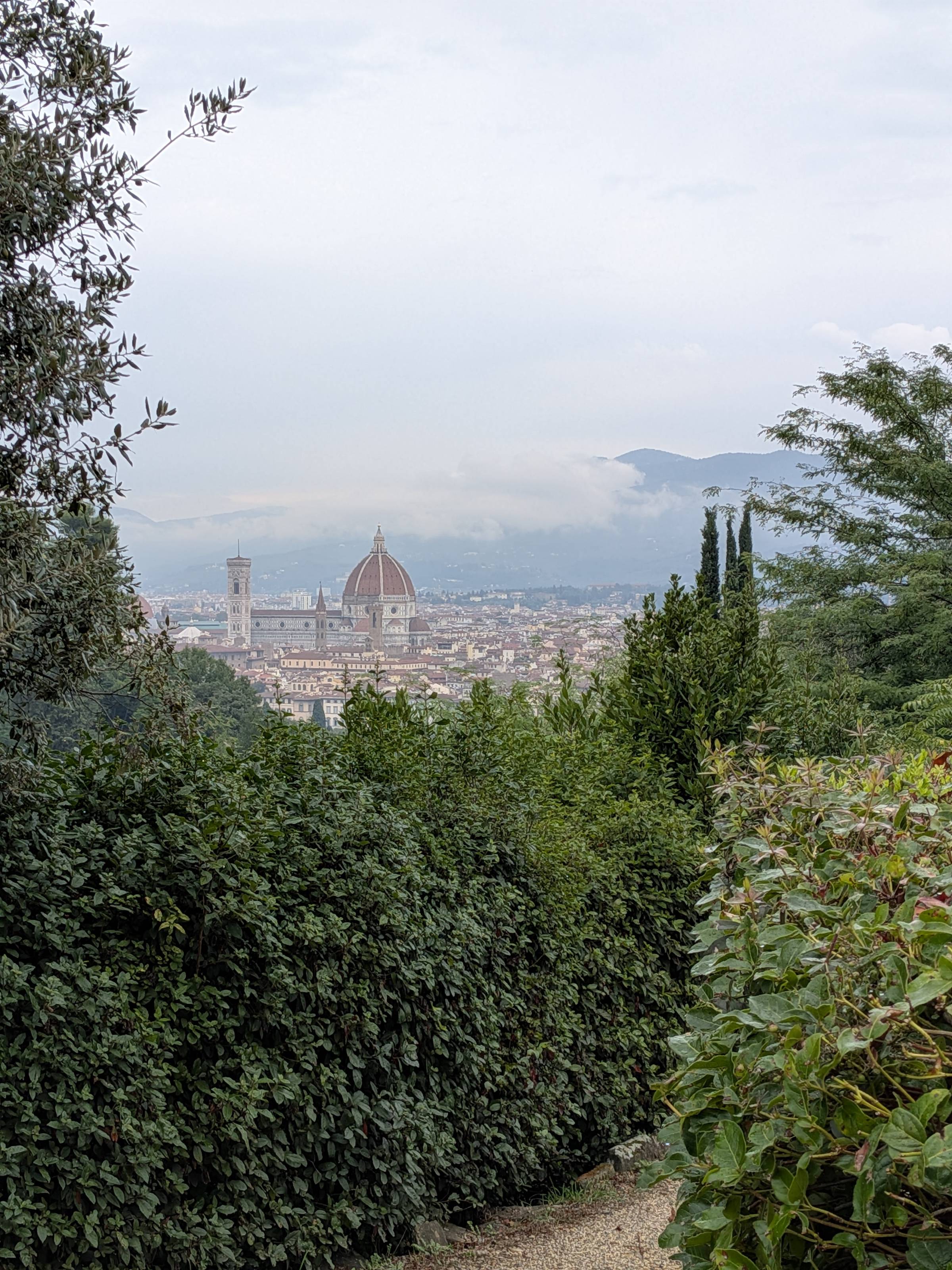 Florence skyline view from a hike
