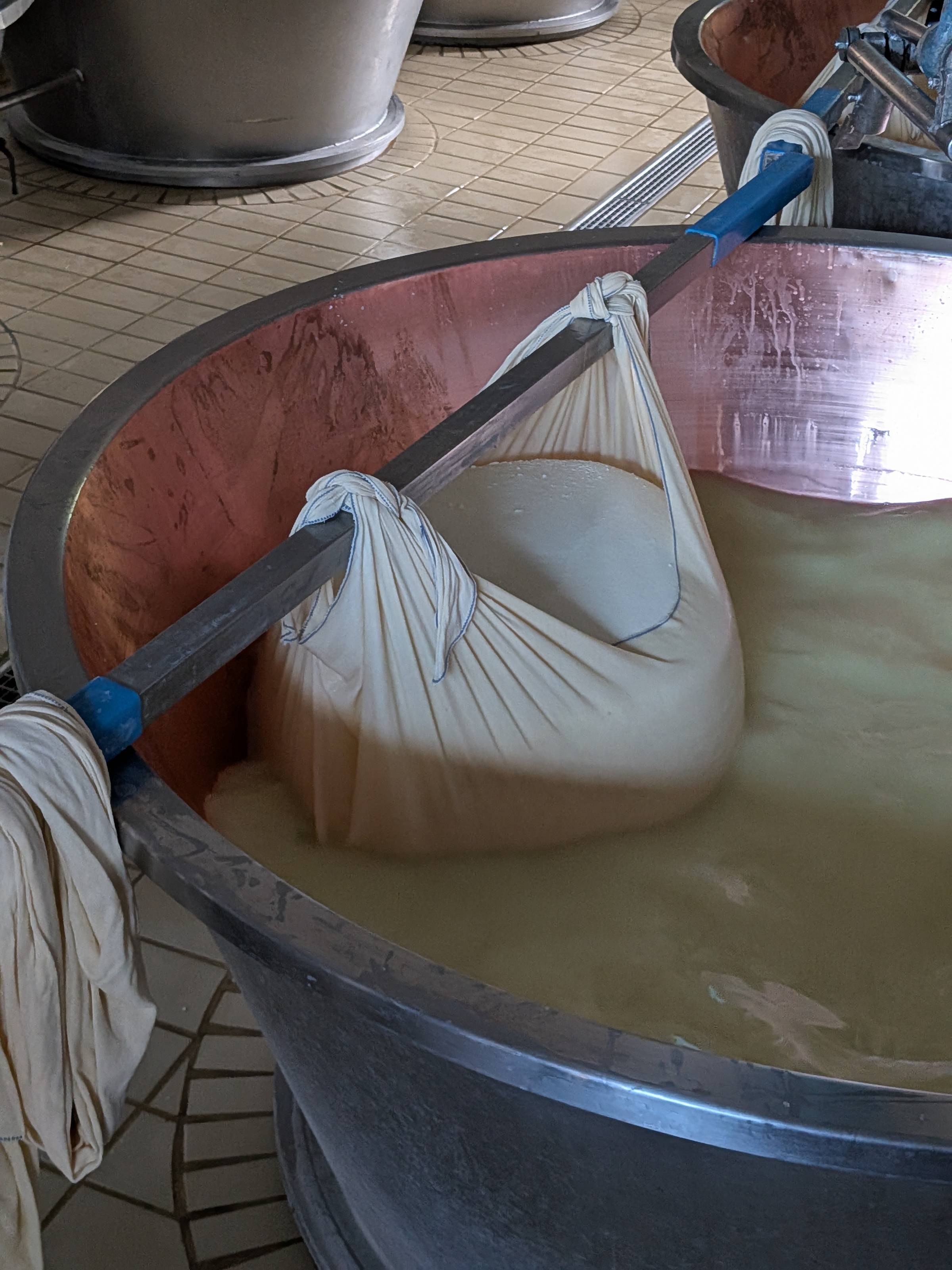 parmesan cheese curds draining in cheesecloth.