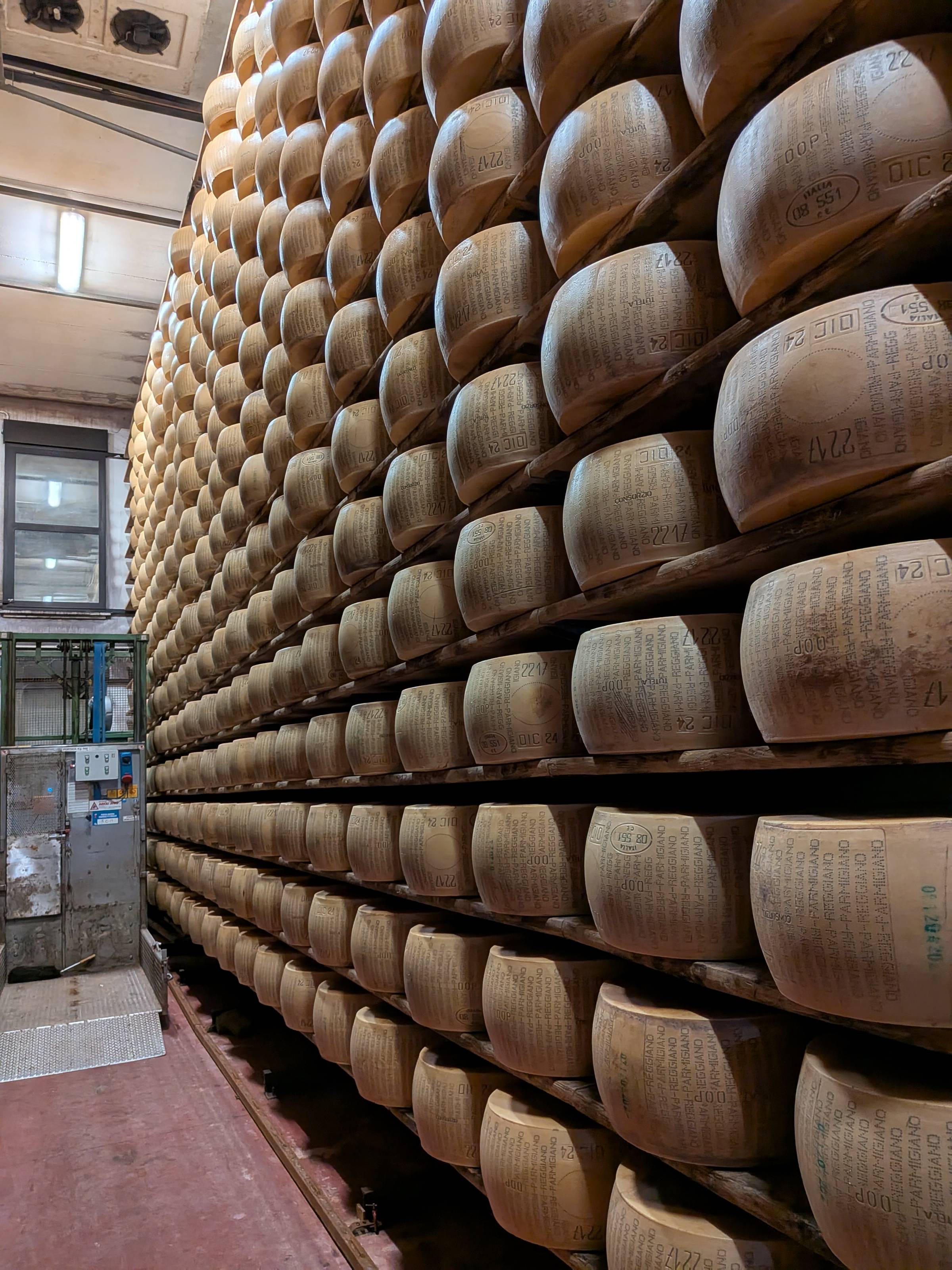wall of parmesan cheese wheels.