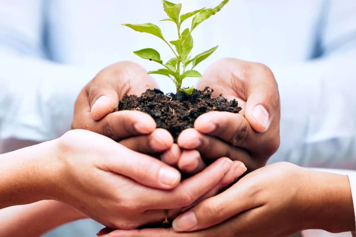 Hands of diverse individuals gently holding soil with a small green plant sprouting, symbolizing growth, collaboration, and nurturing care.