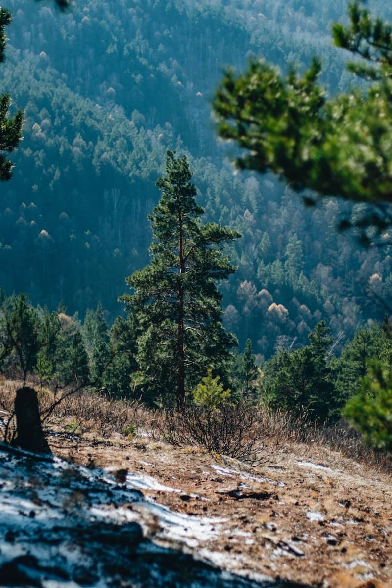 A man riding a mountain bike down a snow covered slope