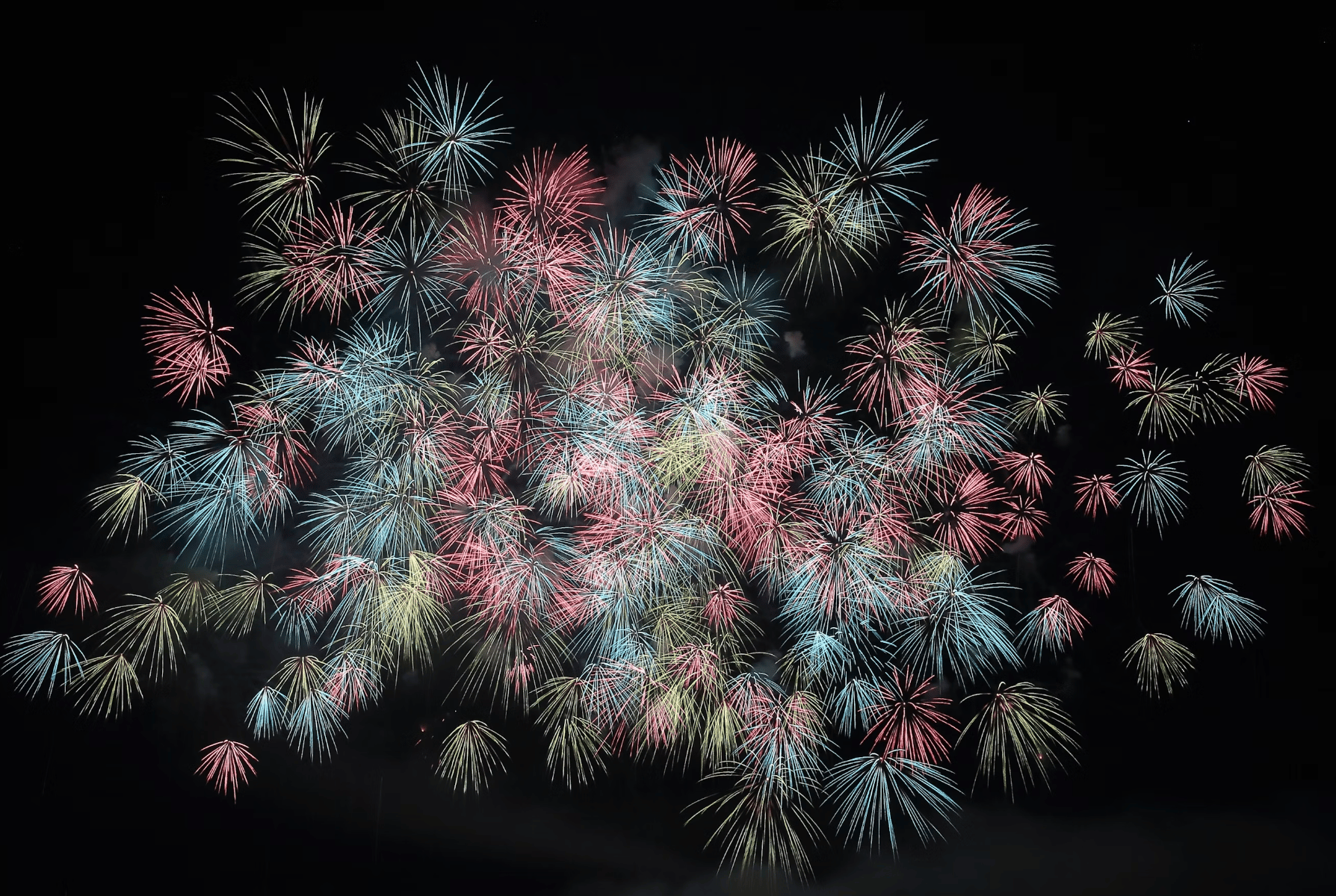 About 50 fireworks exploding at once, in light blue, pink, and yellow