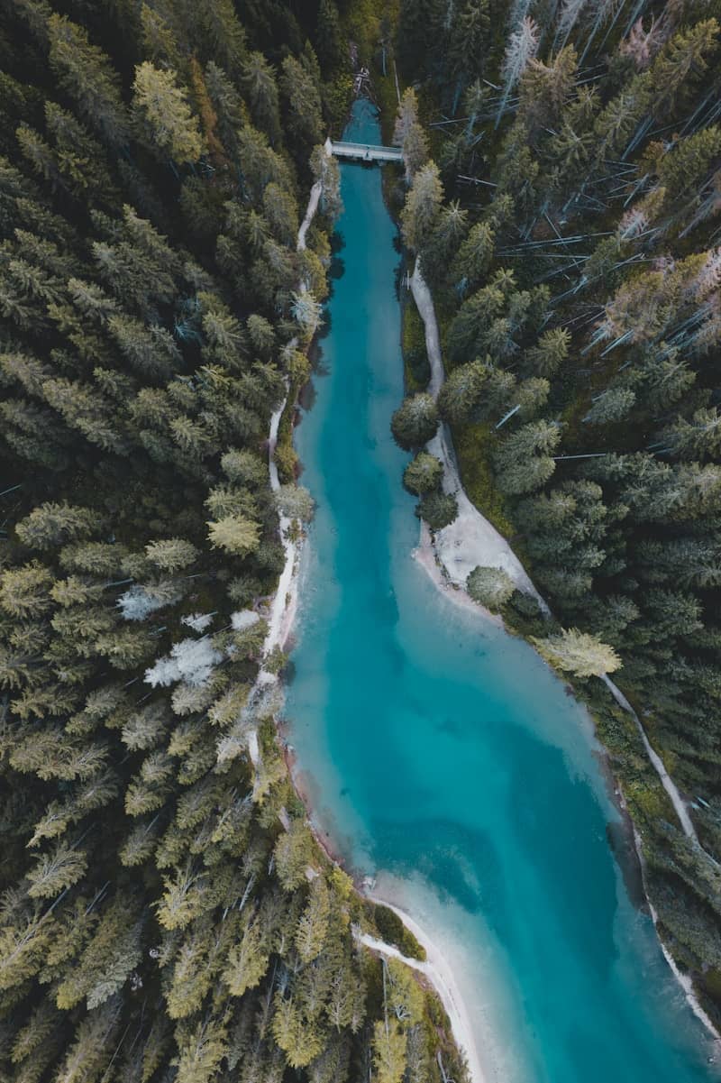 An aerial view of a river running through a forest