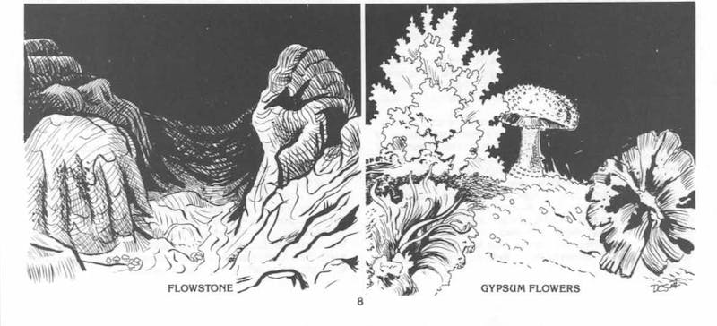 Flowstone and gypsum flowers