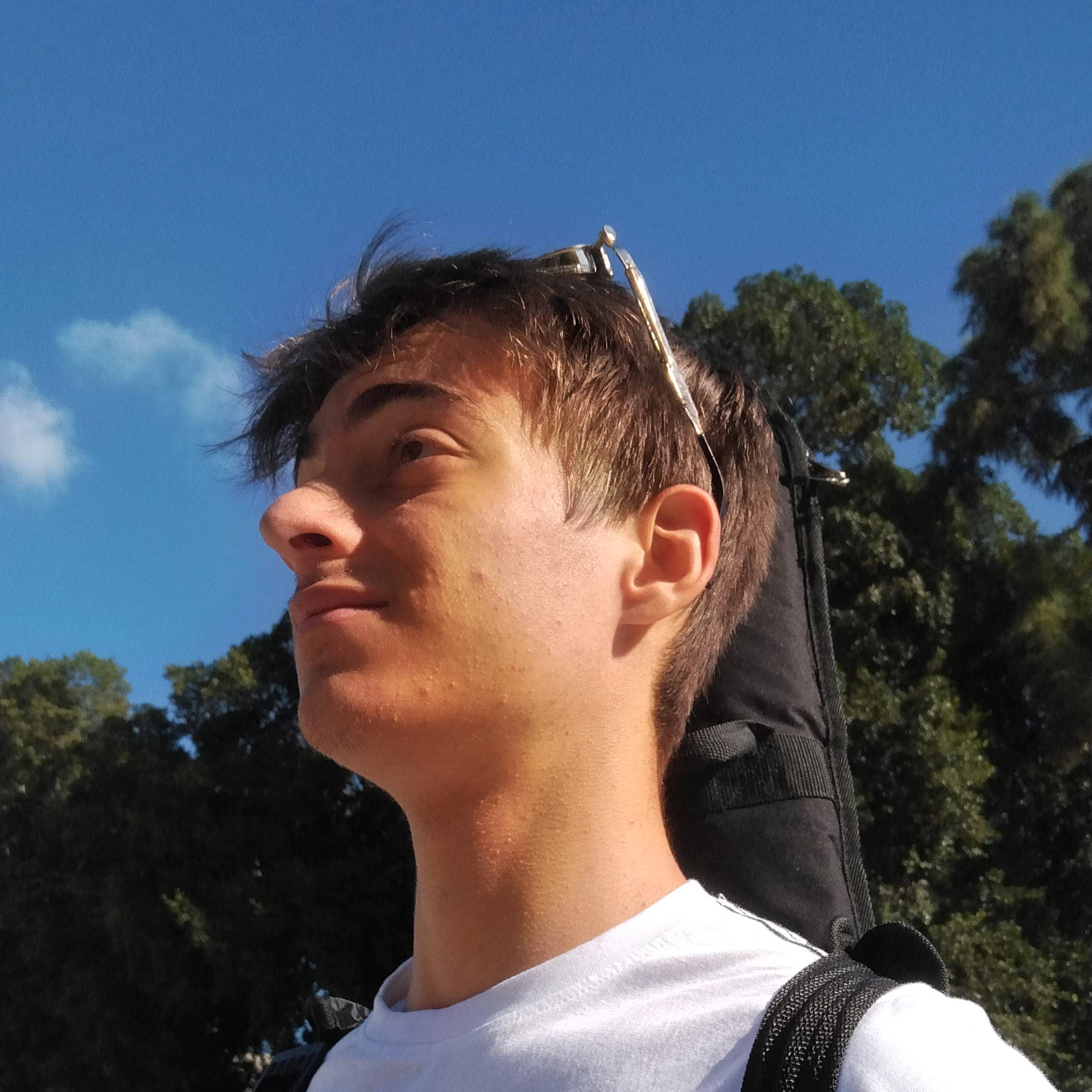 profile
