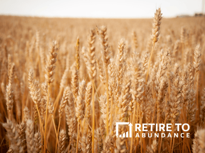 Golden wheat field and Retire to Abundance Logo