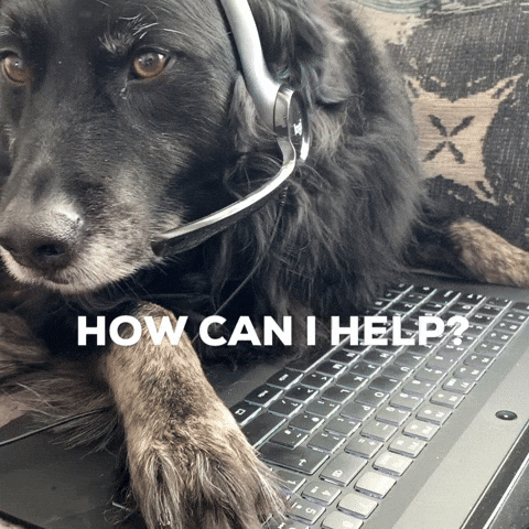 A gif of a dog at a keyboard, wearing a headset, and perking up to the words, "How can I help?"