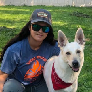 Image for Ignited Pennings 