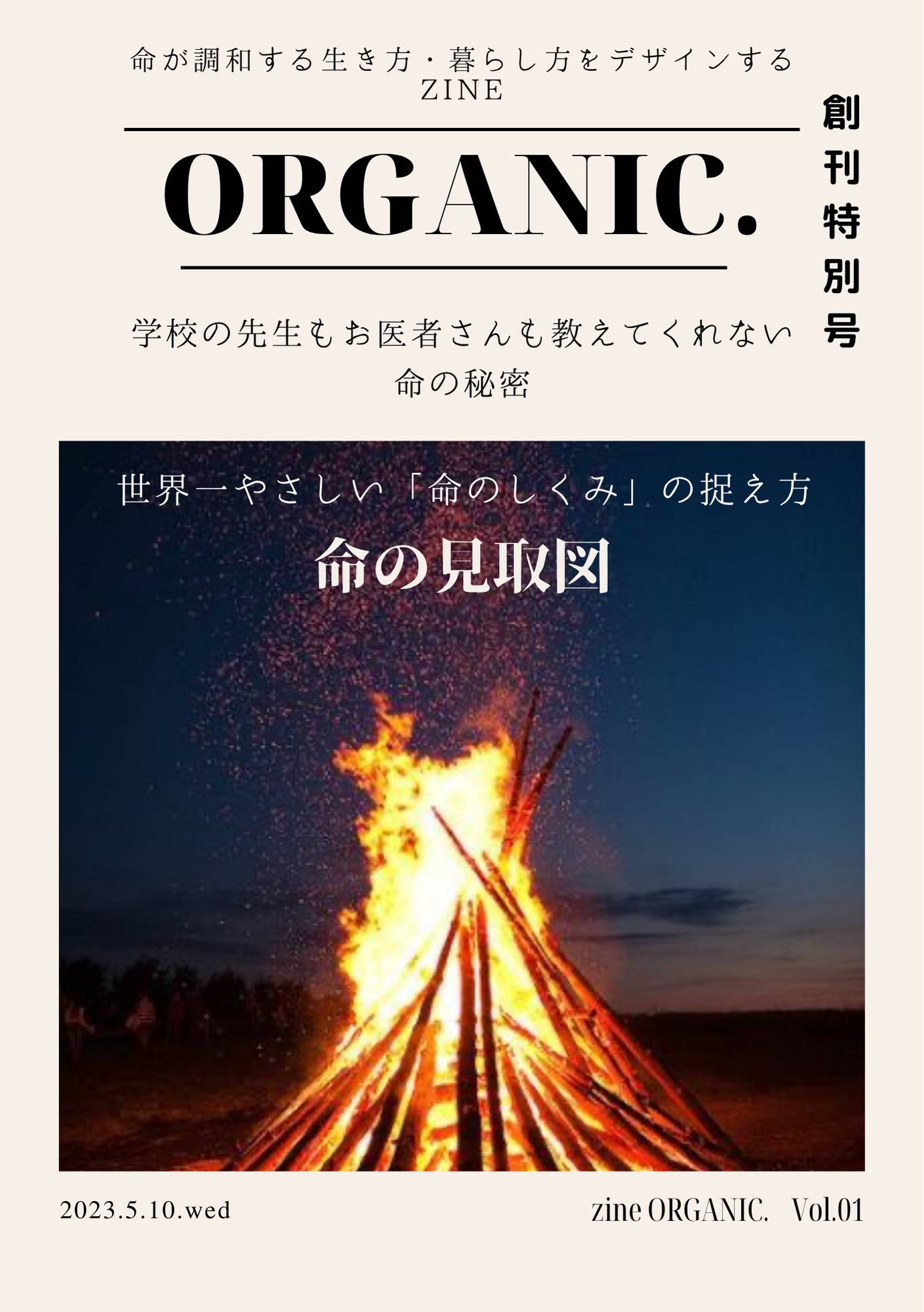 ZINE誰も教えてくれない命の秘密・体のしくみ