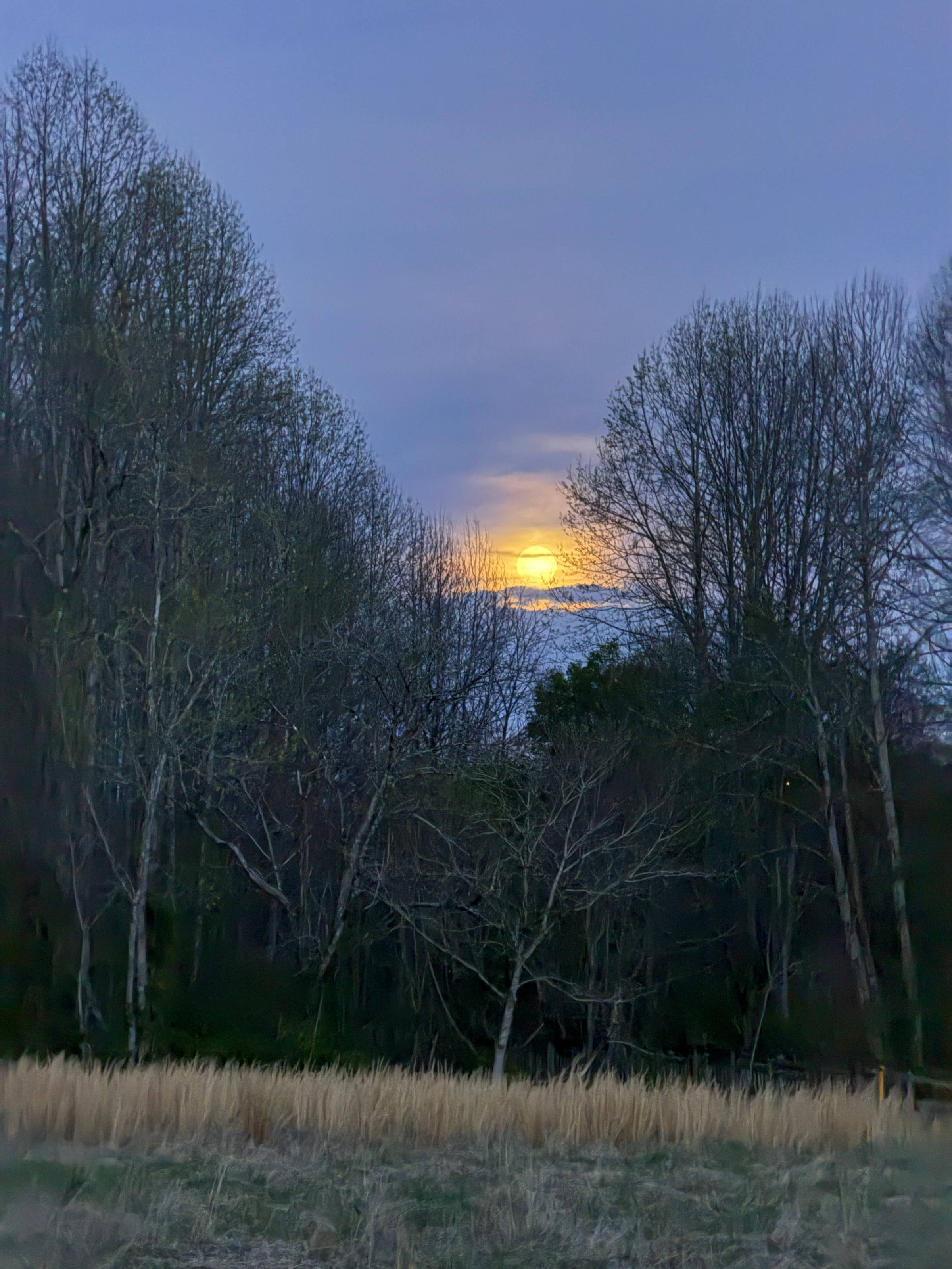 Full moon in April!