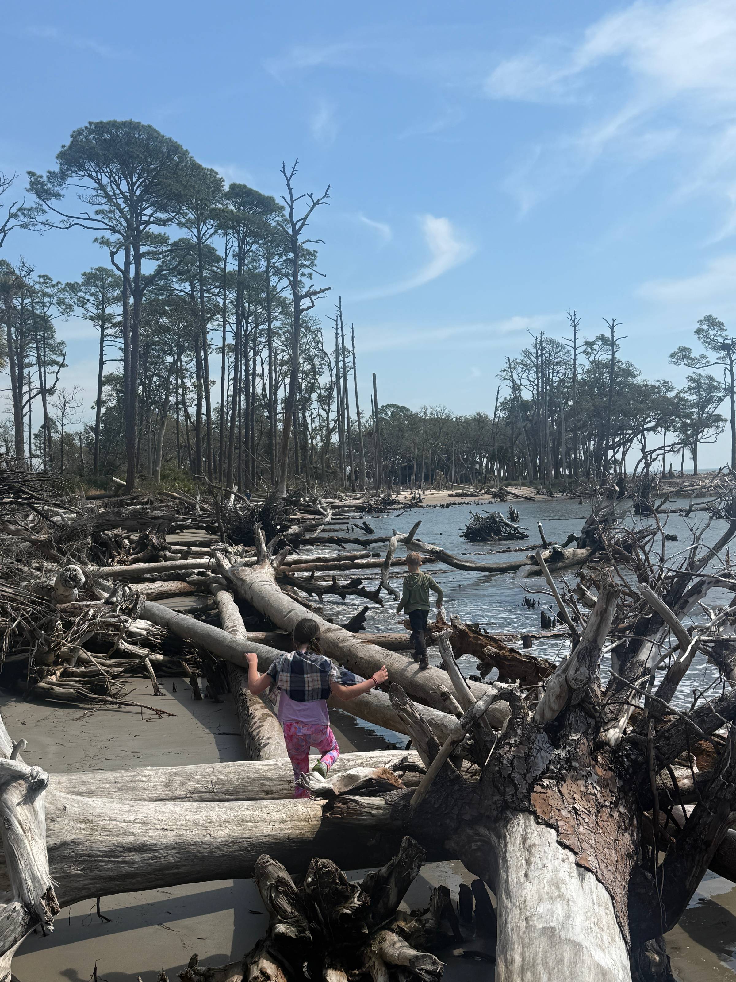 Spring beak at the beach!