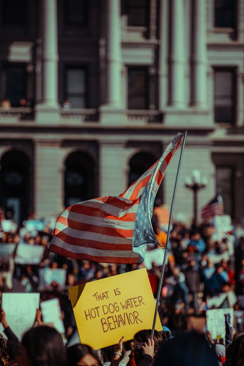 Protesters rally with american flags and signs.