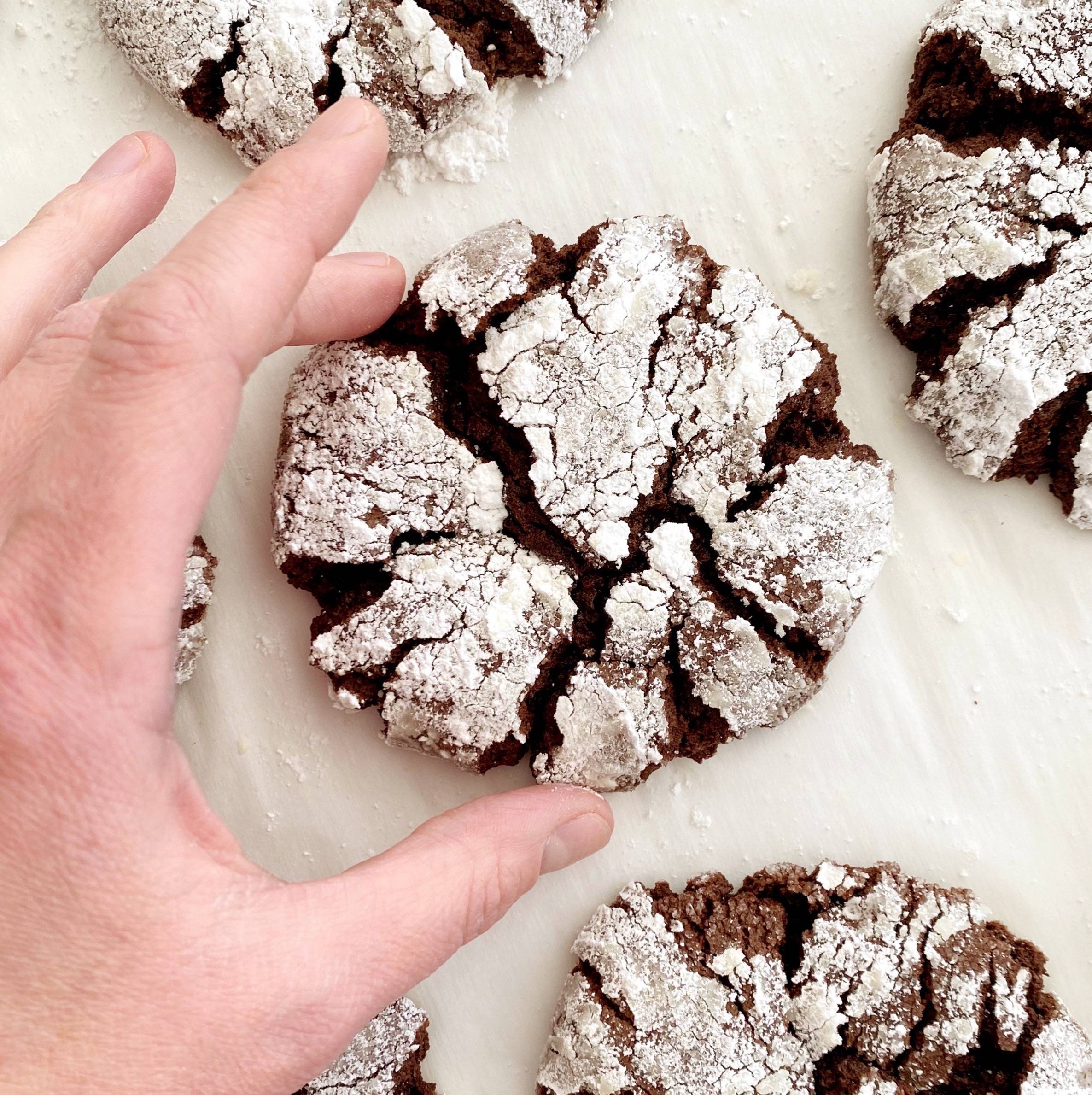 Peppermint Chocolate Cookie Recipe (V)