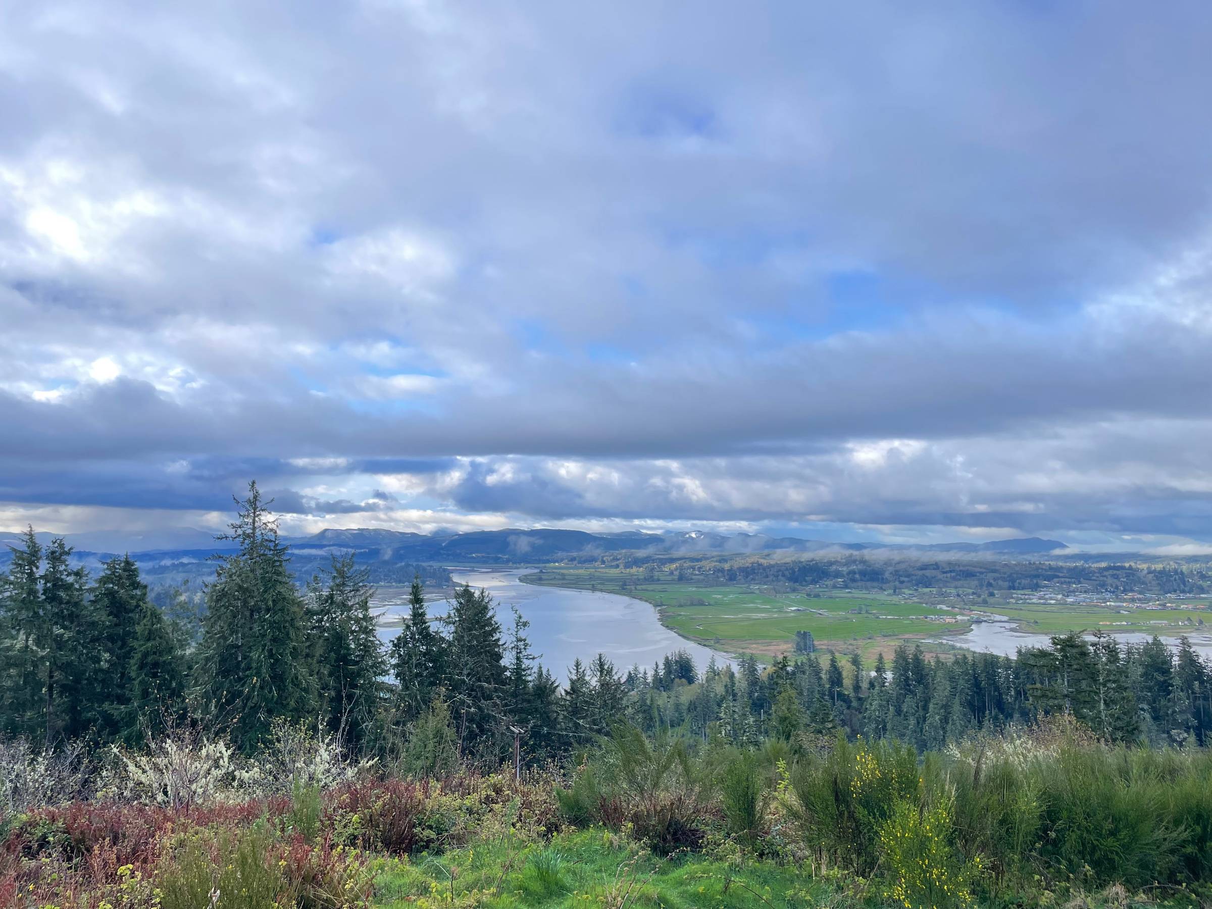 thumbnail placeholder