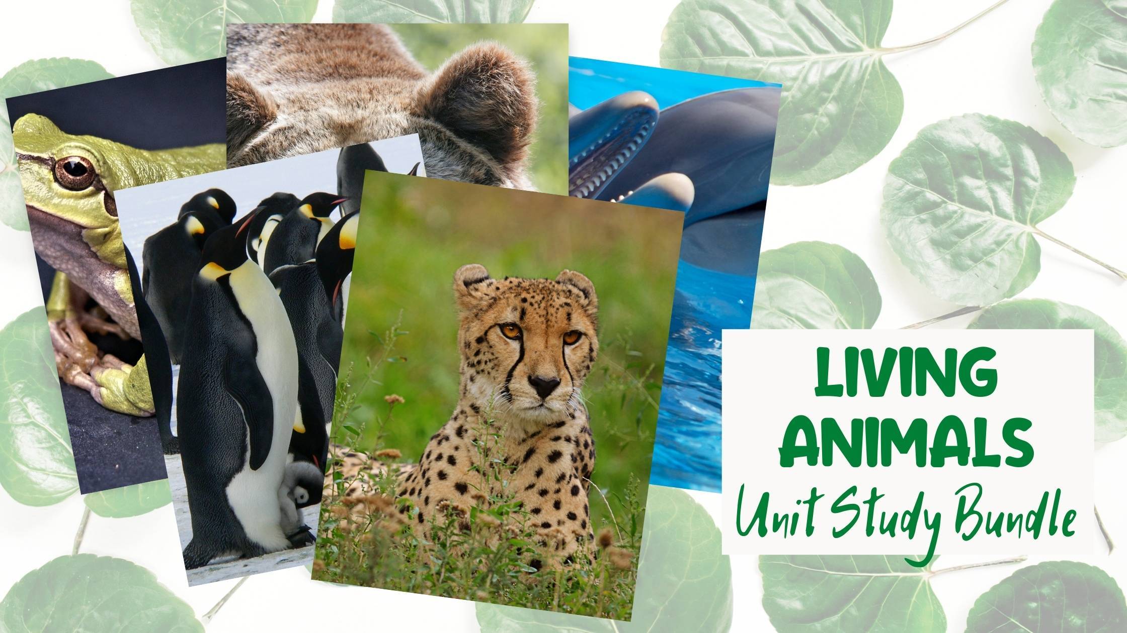 Living Animal Unit Study Bundle