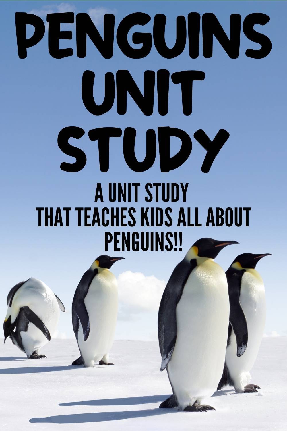 Penguins Unit Study