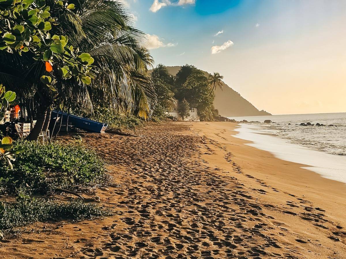 a misty beach in guadeloupe at sunset