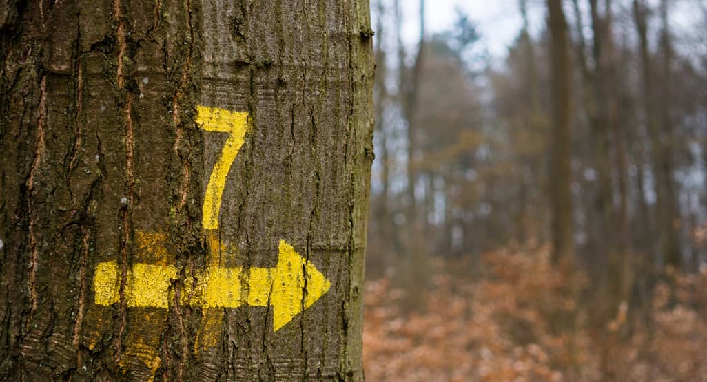 The answer is always seven