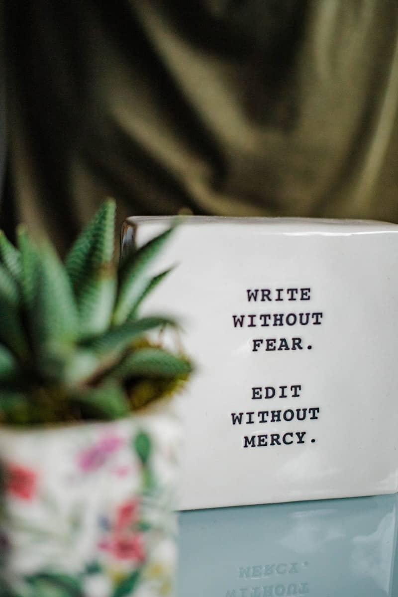 write without fear, edit without mercy