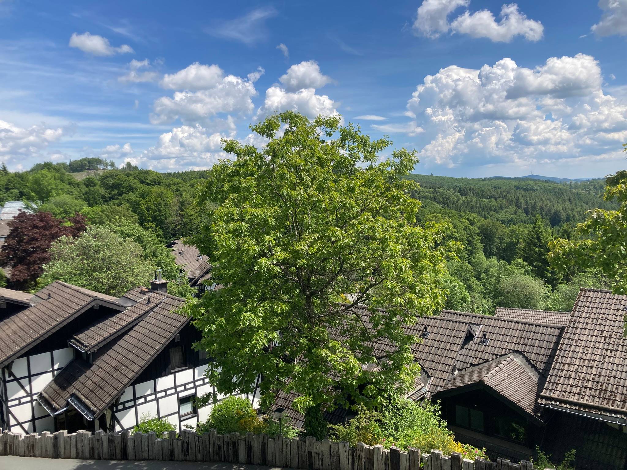 View from Winterberg