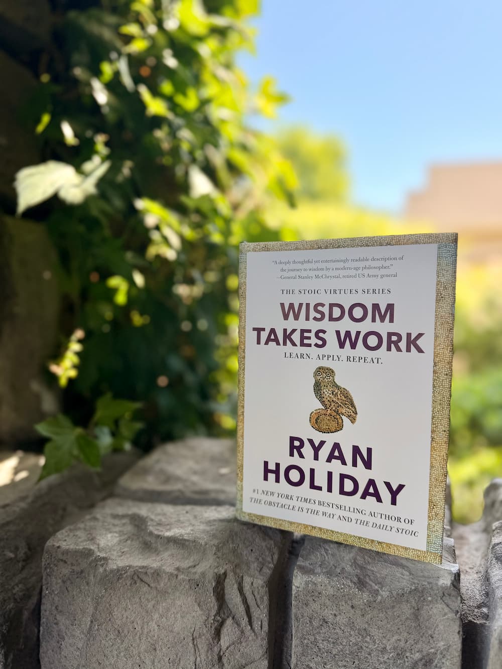 Wisdom Takes Work by Ryan Holiday