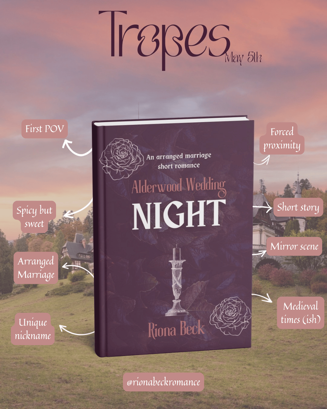 a mock up of Night (Alderwood Wedding #1) surrounded by tropes.