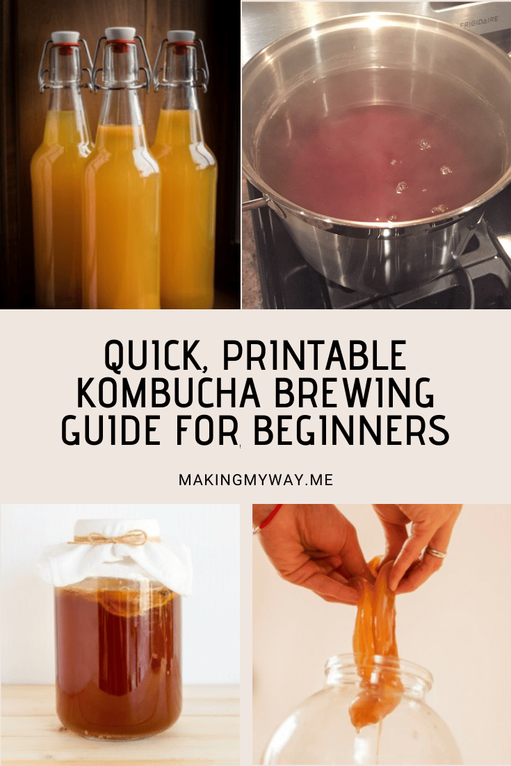 Quick, Easy Beginners guide to Homebrewing Kombucha