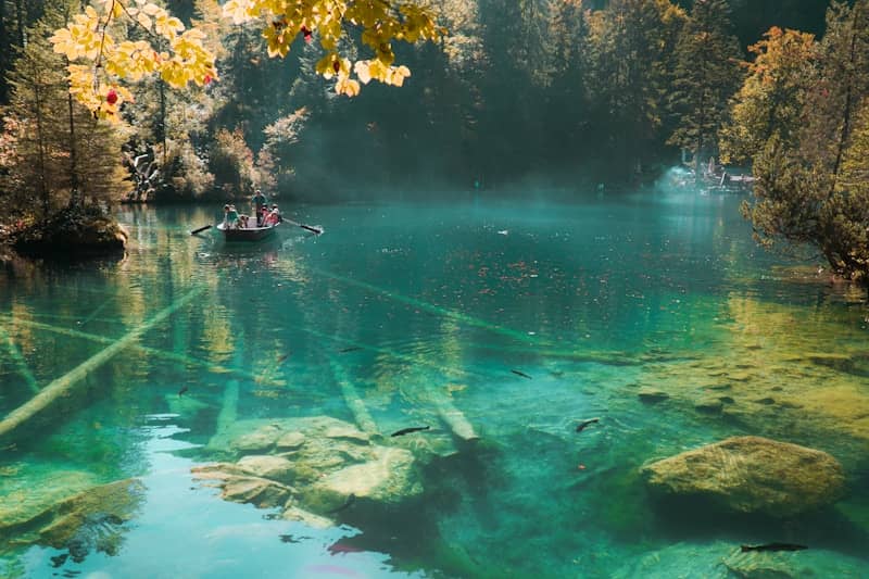 boat on water near trees during daytime