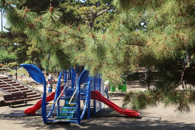 A playground is seen with trees in background.