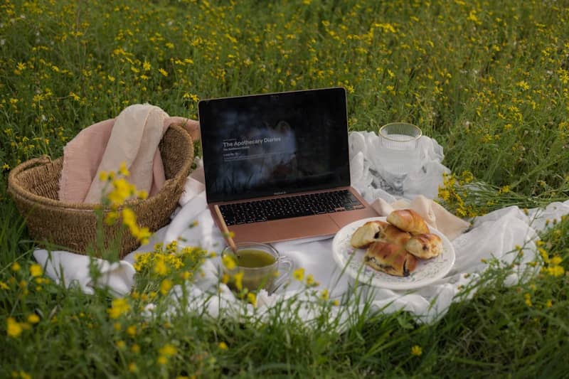 Laptop, food, and drinks on a picnic blanket.