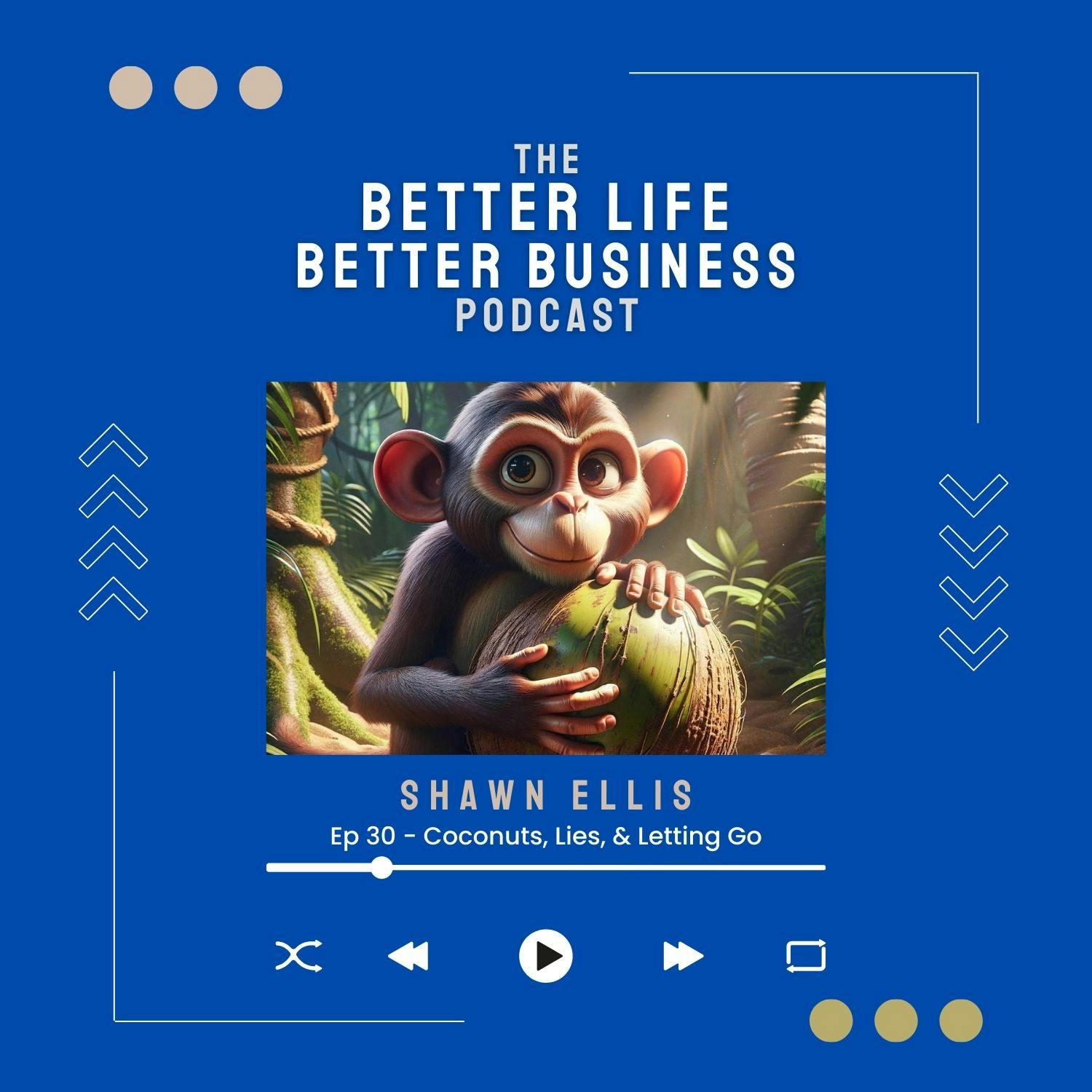 Better Life Better Business Podcast Cover