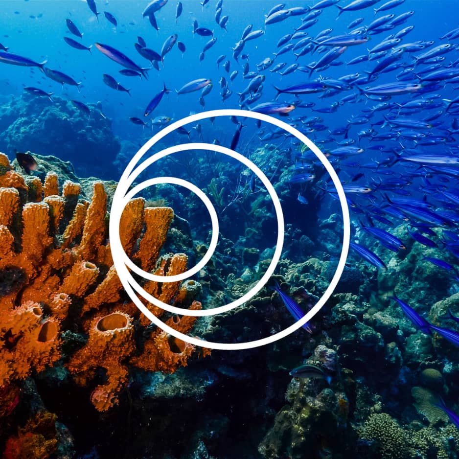 From surface thinking to systems thinking