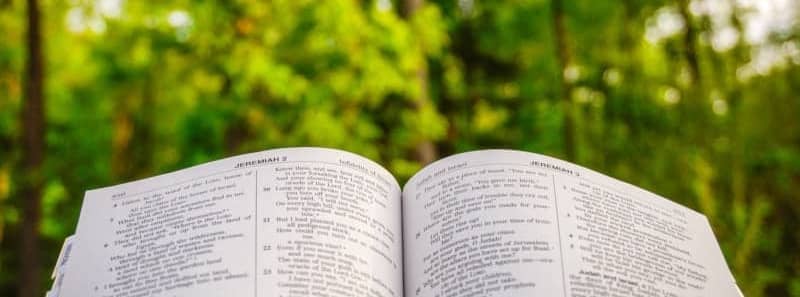 Bible open with woods in the background