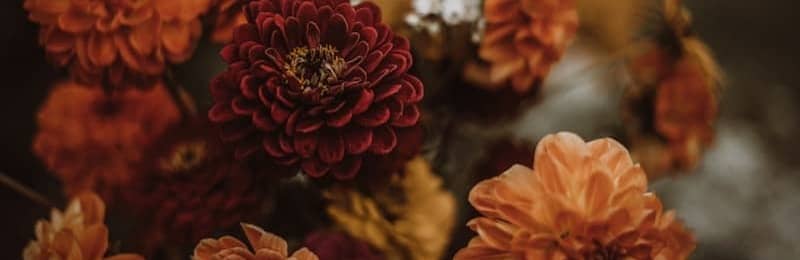 Close-up of a bouquet of vibrant orange and red flowers.