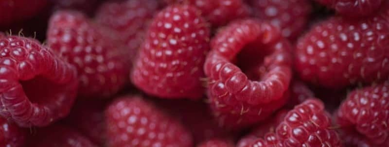 Fresh and juicy raspberries are piled together.