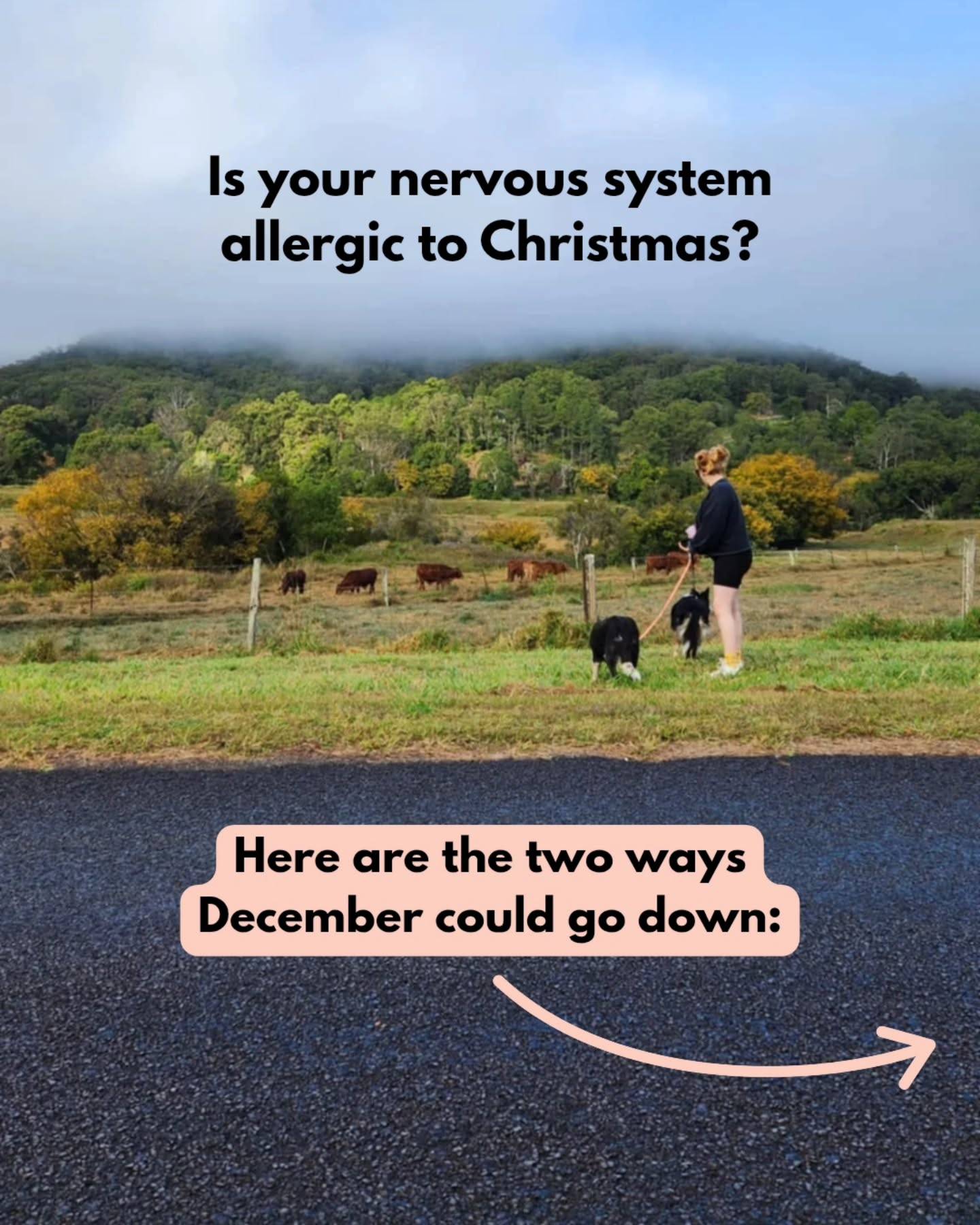 Choose your own adventure, but make it ✨️anxious✨️
 
What are you choosing? 👀

I've got a little xmas offer on the DL for anyone who wants to get in & get acute support so that December is actually nice (?!) - then in Jan we can get into the deep, anxiety healing, long lasting relief stuff.  
 
DM me 'xmas dread' and I'll reach out to you with info.

#ChristmasAnxiety #XmasDread #NervousSystem #Anxiety #Naturopath #OnlineNaturopath