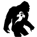 Recommended Creator