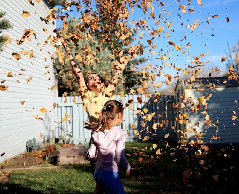 Two children throwing dry autumn leaves into the air in a sunny backyard