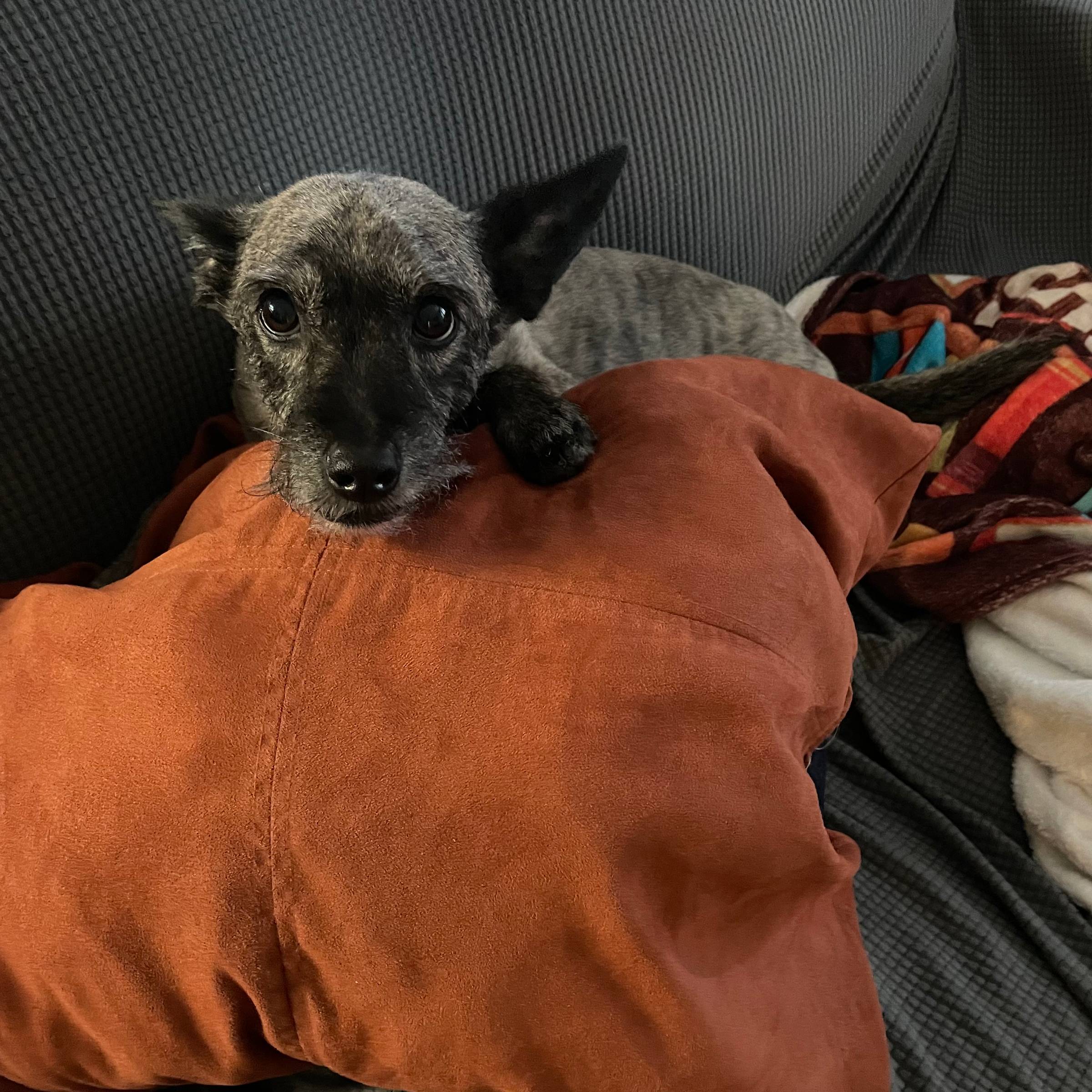 Wayne with his new hair cut and new toy