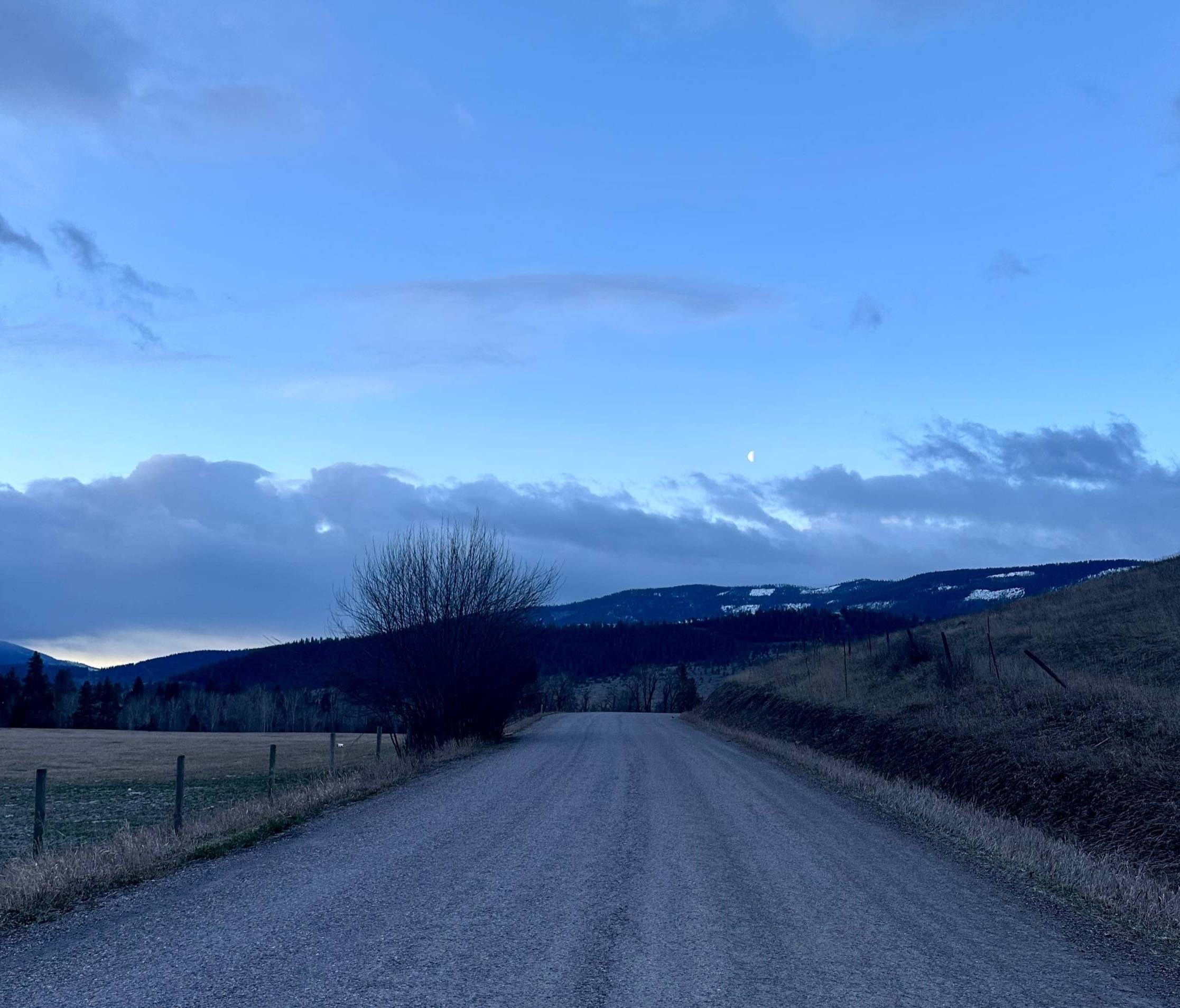 Rural Montana road before sunrise
