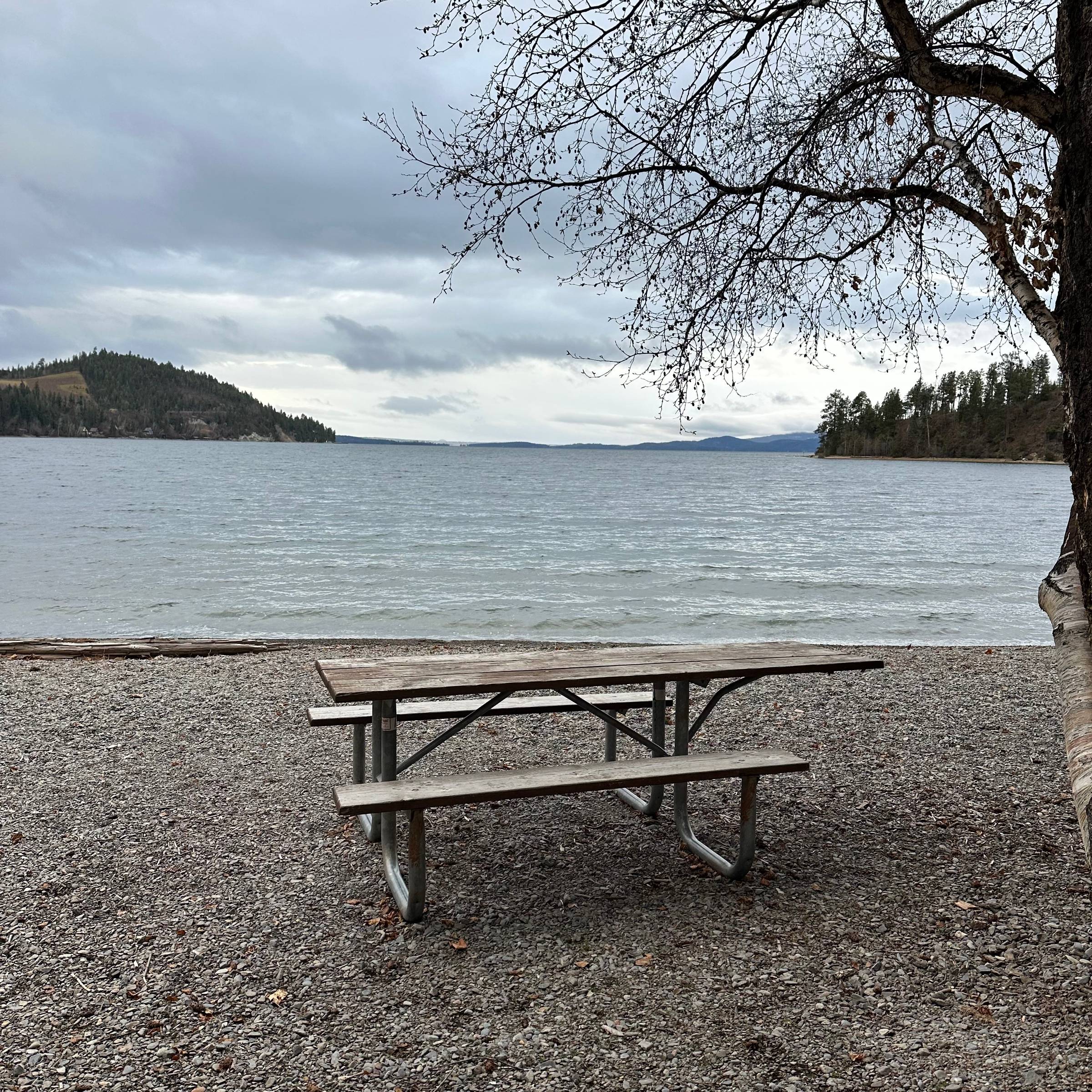 Empty bench by Montana lake
